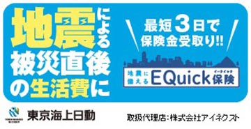 東京海上日動 地震保険
